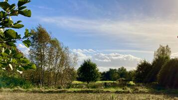 Ländliche Landschaft mit Bäumen, einem Feld und blauem Himmel.