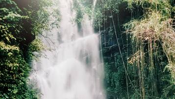 Una cascada con densa vegetación a ambos lados.