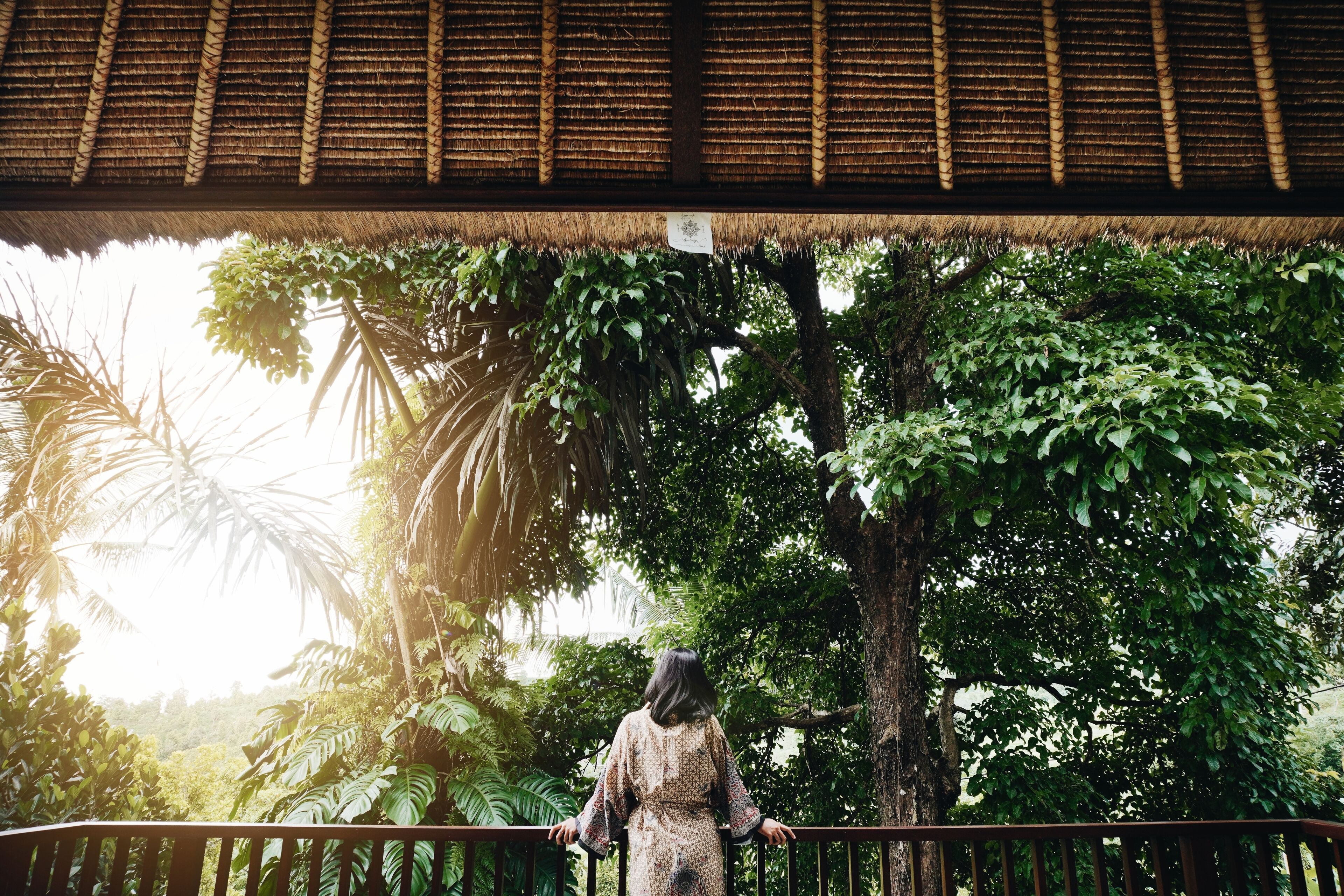 A person standing on a balcony with a thatched roof, overlooking a lush garden with various trees and plants.