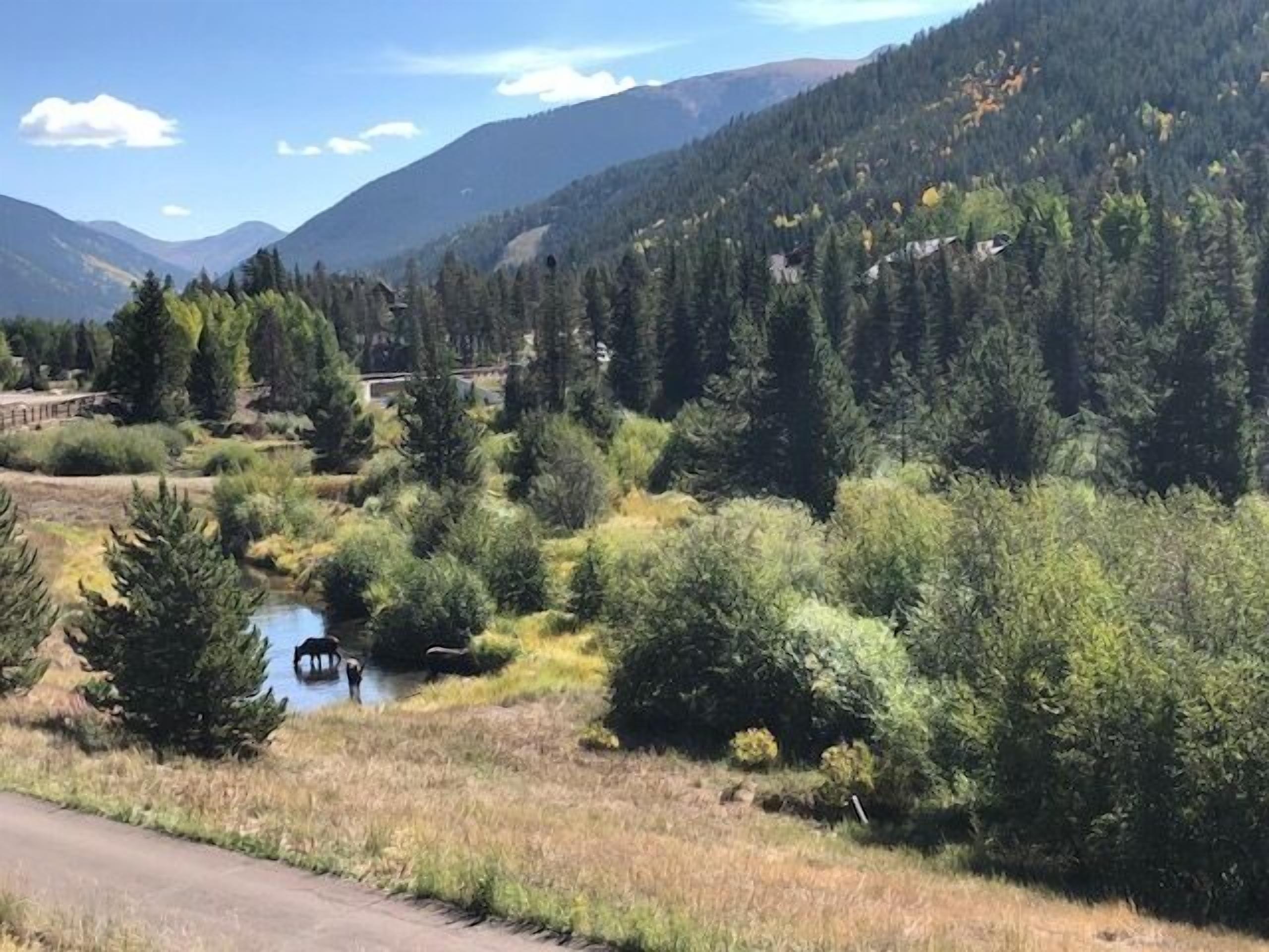 A natural landscape with a river, dense forest, and mountains in the background.