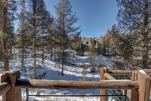 A wooden deck with a view of a snowy forest and a building in the background. - Starfire 1990 (Keystone)