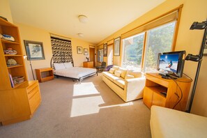 A bedroom with a bed, a sofa, a TV, and a wooden bookshelf. - Keystone Brom House 48 (Keystone)