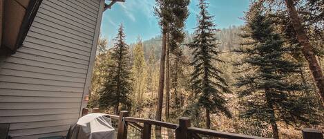 Área de parrilladas y picnic