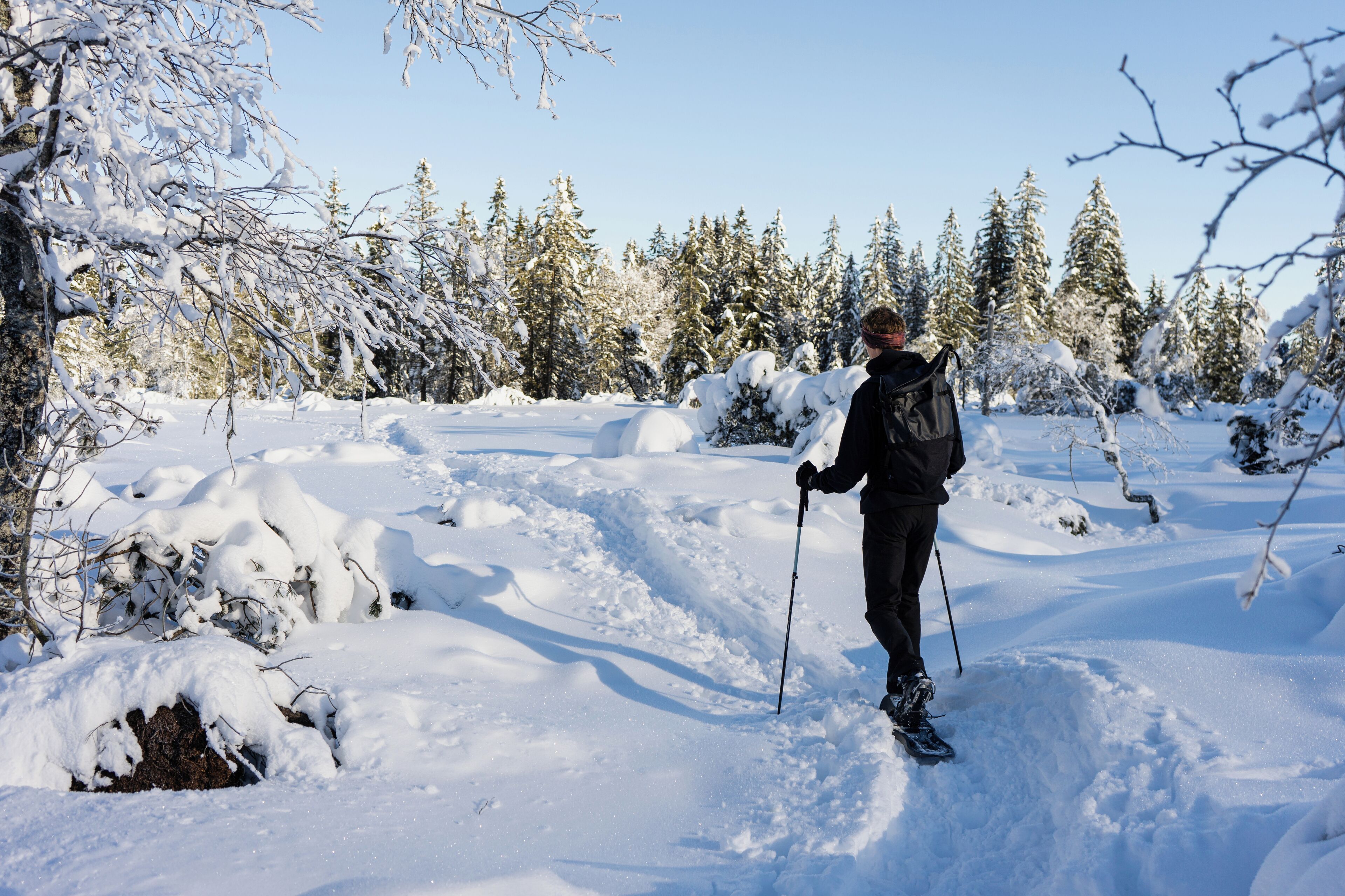 Eine Person beim Skifahren in einem verschneiten Wald.