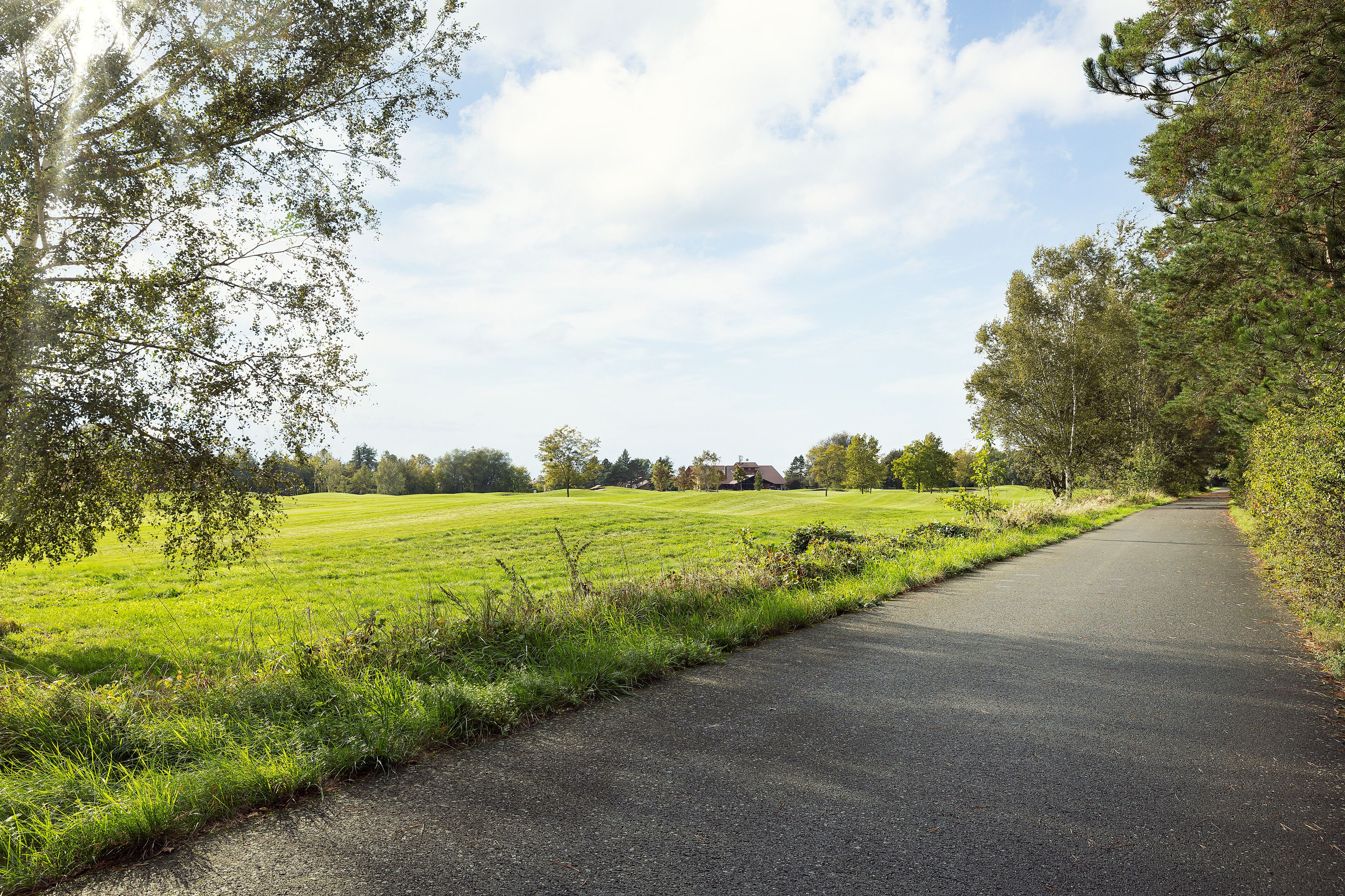 A rural road flanked by green fields and trees, leading to a distant building.