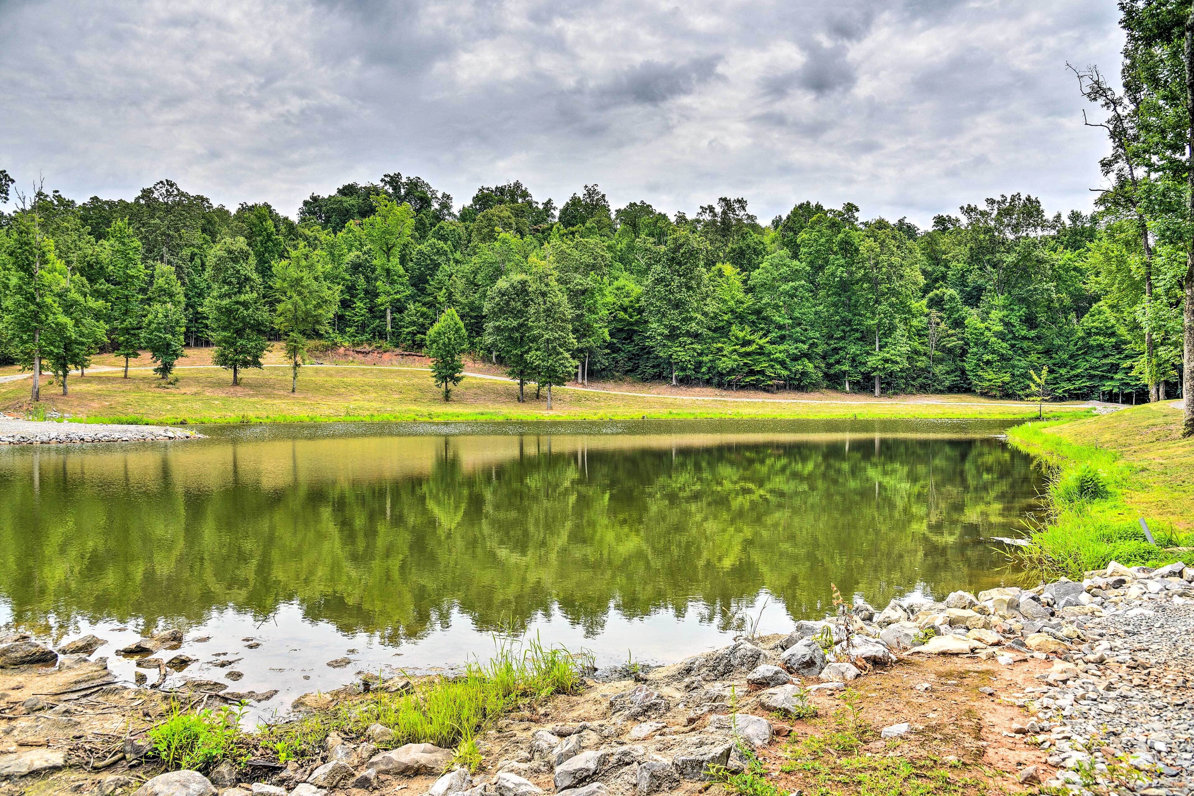 A serene landscape with a pond surrounded by trees and a rocky shoreline.