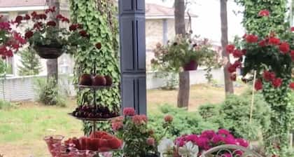 Lalezar Sea & Garden Hotel