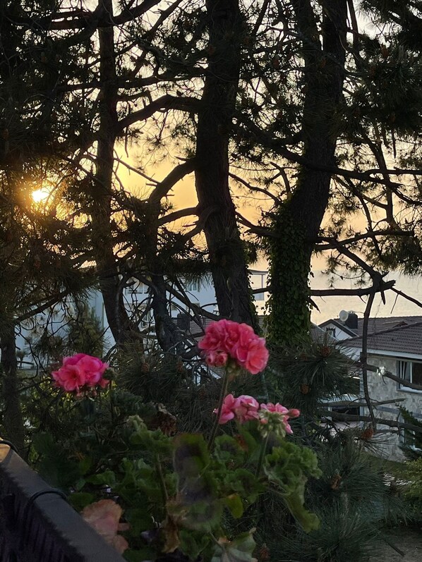 Terrace/patio - Lalezar Sea & Garden Hotel (Ünye)
