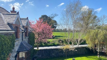 House | Property grounds