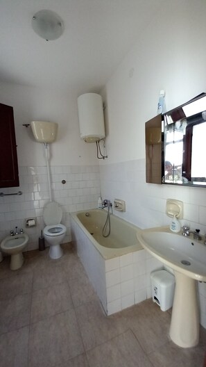 Bathtub, hair dryer, bidet