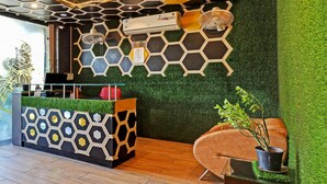 A reception area with a hexagonal patterned wall, a reception desk, a red chair, and a potted plant. - Itsy Hotels Friends (Haldwani)