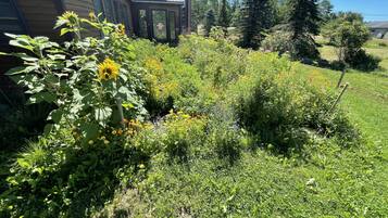 Overnatningsstedets område