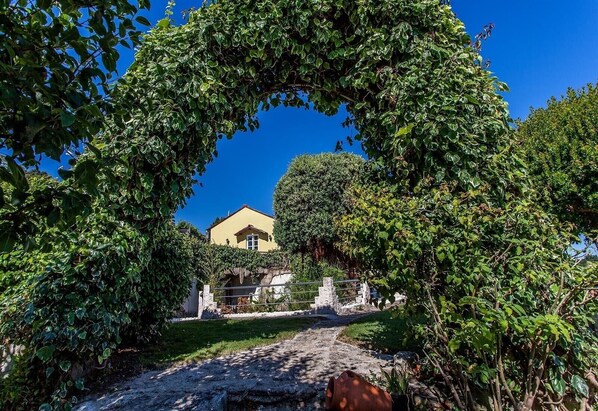 A pathway leading to a building framed by lush greenery.