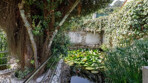 A garden with a stone wall, a small pond, and a tree. - "Casa Nueva de Bueu" with Mountain View, Wi-Fi, Garden & Terrace (Bueu)