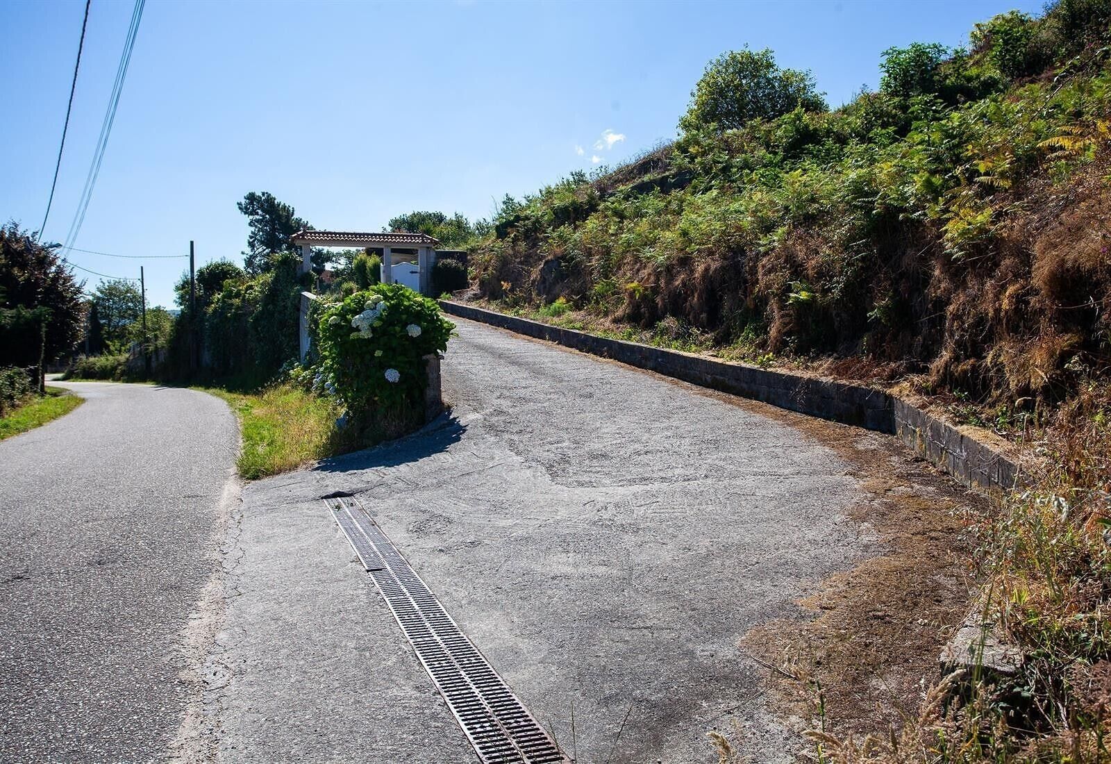 A rural road with a drainage grate, vegetation, and a building in the distance.