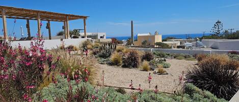 Un jardín en la azotea con diversas plantas y una estructura de pérgola.