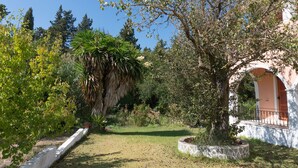 Ein Garten mit verschiedenen Pflanzen und Bäumen, ein weißes Gebäude mit Bogenportal und ein klarer, blauer Himmel.