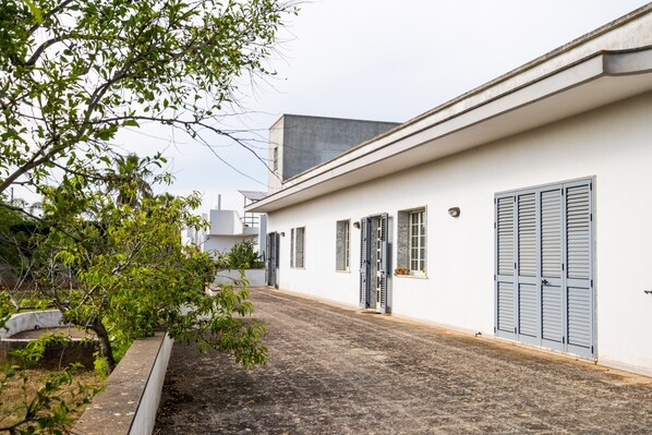 Un bâtiment blanc avec une cour dallée, un arbre et une porte grise.