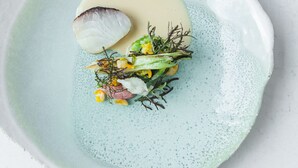 Un plato con fondo azul claro y borde blanco, que contiene salsa blanca, un trozo de pescado y una mezcla de verduras y hierbas.