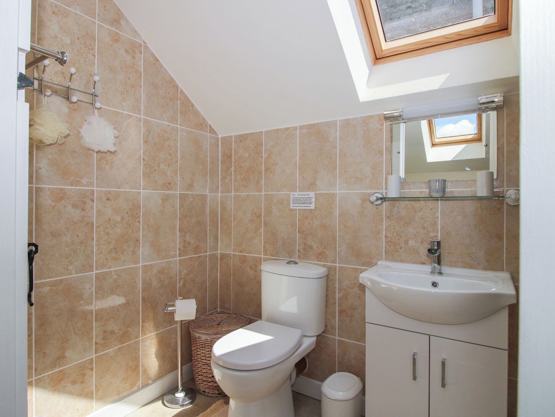 A bathroom with a toilet, bidet, and sink, a mirror above the sink, and a skylight.