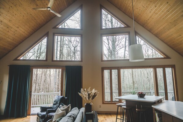 Smart TV, fireplace, video games, books