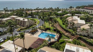 Een resort met een zwembad, omgeven door palmbomen en uitzicht op de oceaan.