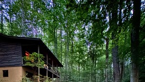 A forested area with a dirt path leading to a building with a sloped roof and a balcony. - Creekside,firepit,wood stove,family&dog friendly,covered deck dining (Scaly Mountain)