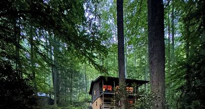 Creekside,firepit,wood stove,family&dog friendly,covered deck dining