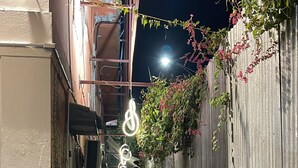 A narrow alleyway with a concrete path, a wooden fence, and some potted plants.
