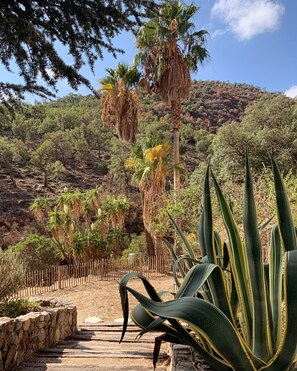 Overnattingsstedets uteområder