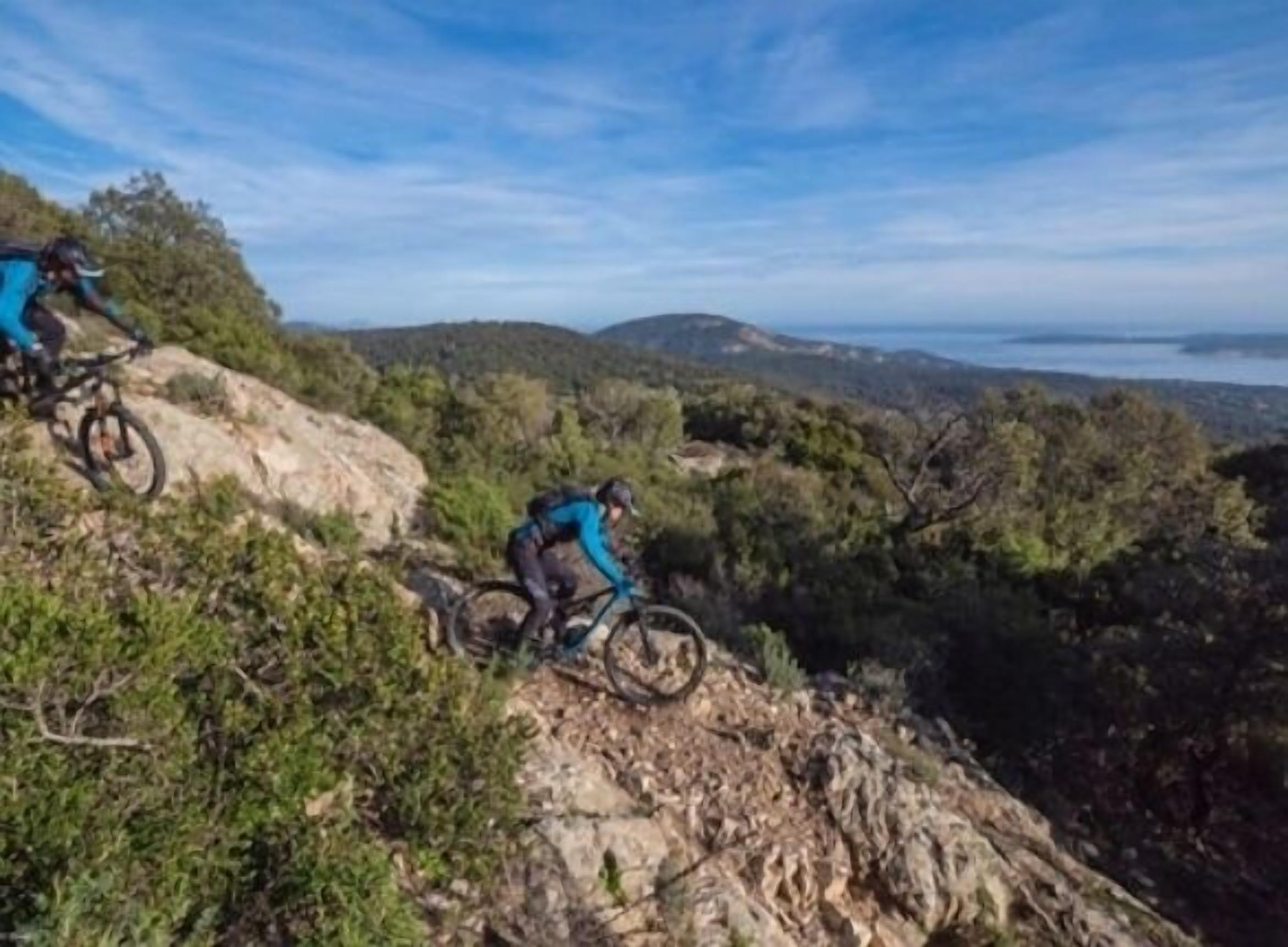 Un sendero para bicicleta de montaña con terreno rocoso y vegetación densa.