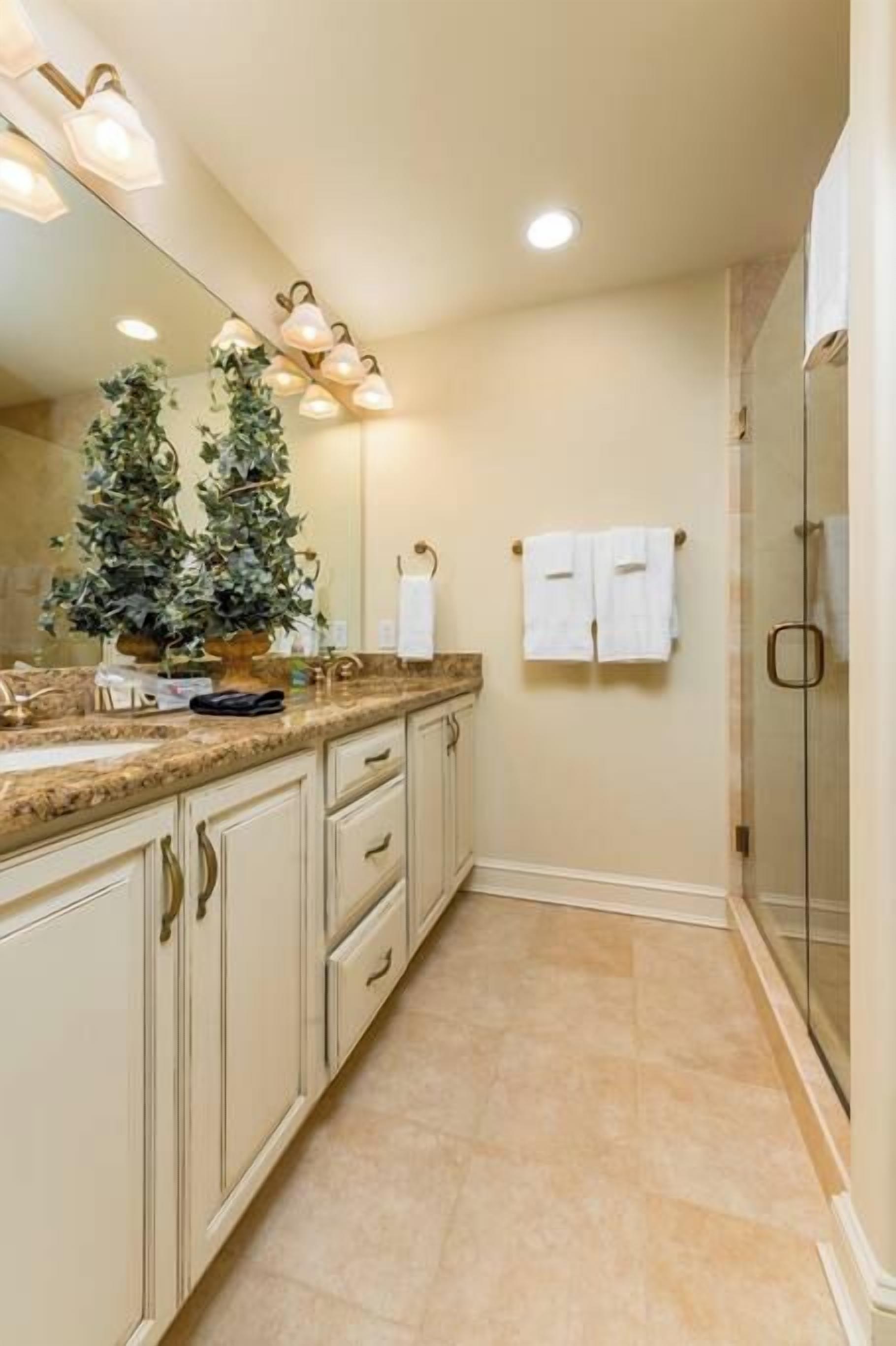 Une salle de bain avec un grand miroir, un lavabo, une douche et une plante en pot.