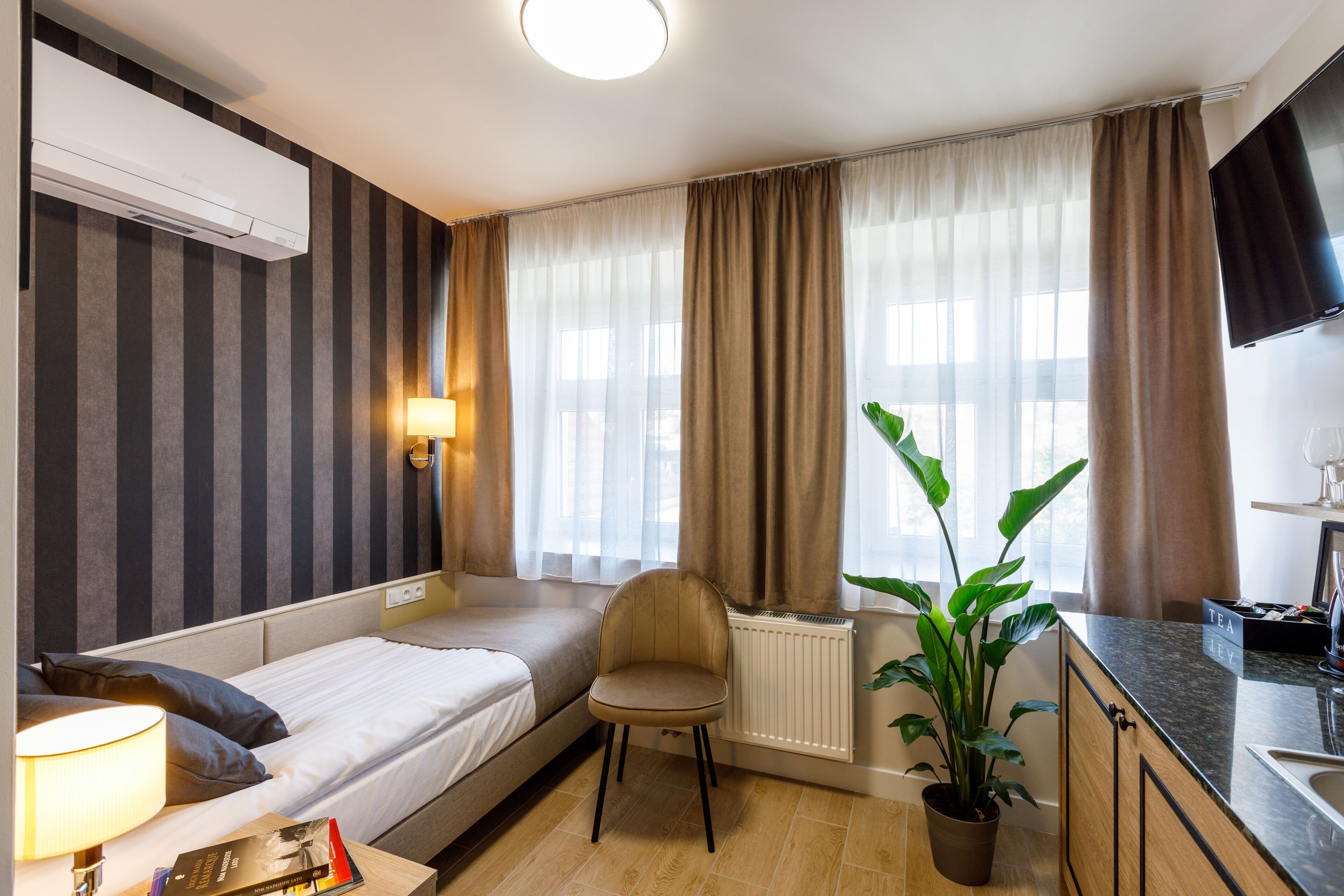 Habitación de hotel con cama, una silla, radiador, planta, televisor y ventana con cortinas.