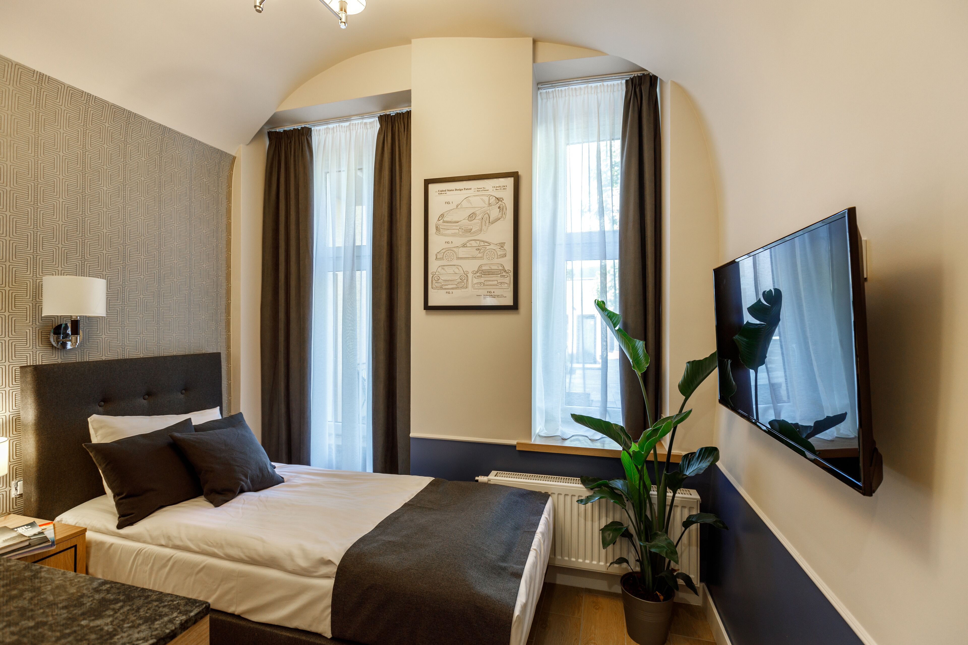 Une chambre d’hôtel avec un lit, une télévision, une plante et un radiateur.