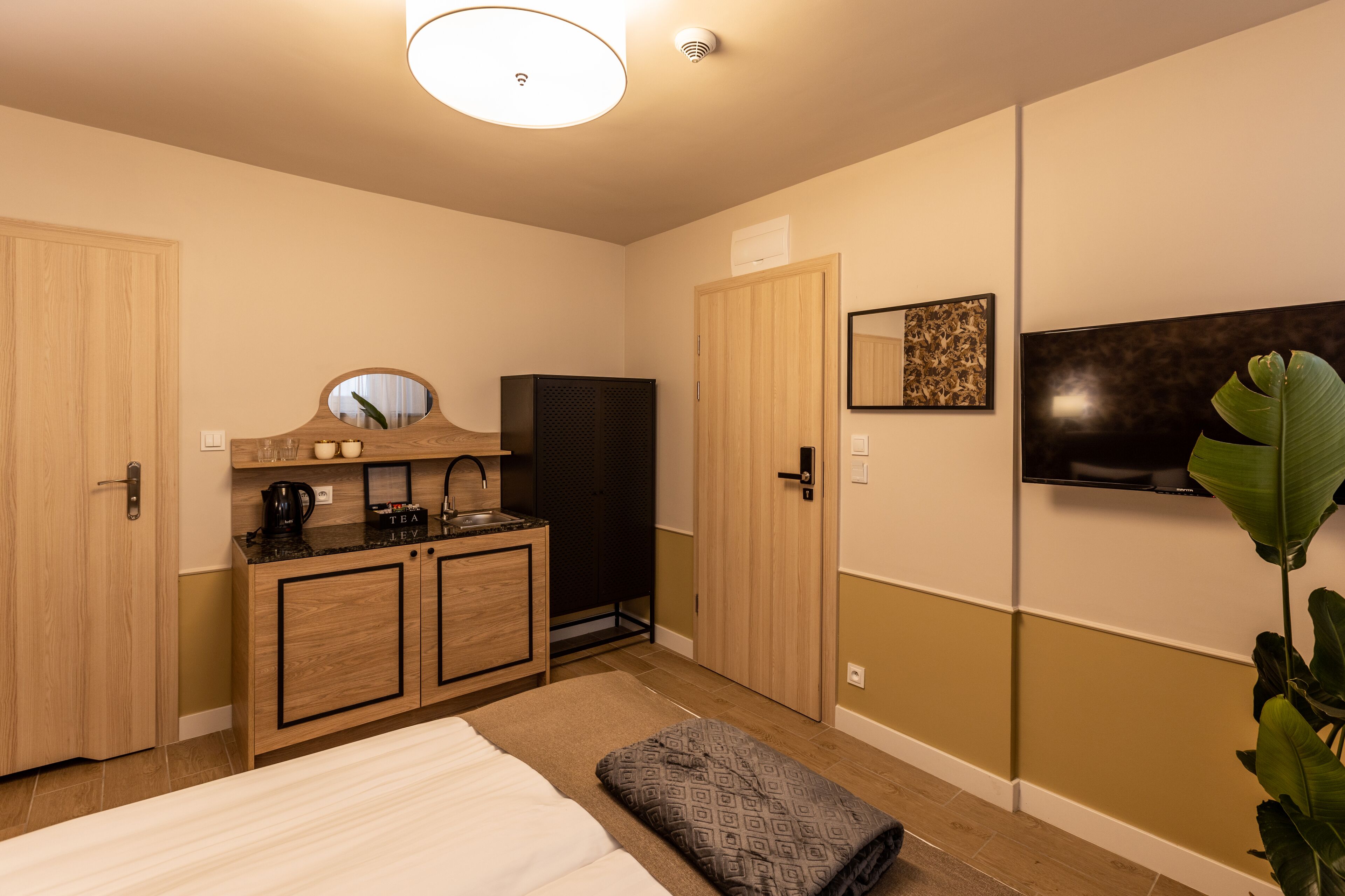 Habitación de hotel pequeña con cama, una kitchenette, televisión montada en la pared y una planta grande.