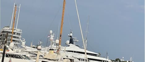 Marina