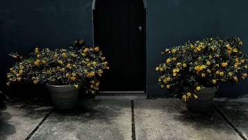 Detalhe da fachada