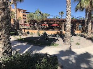 Une cour d’hôtel avec des palmiers, des espaces de détente en plein air et un espace piscine.