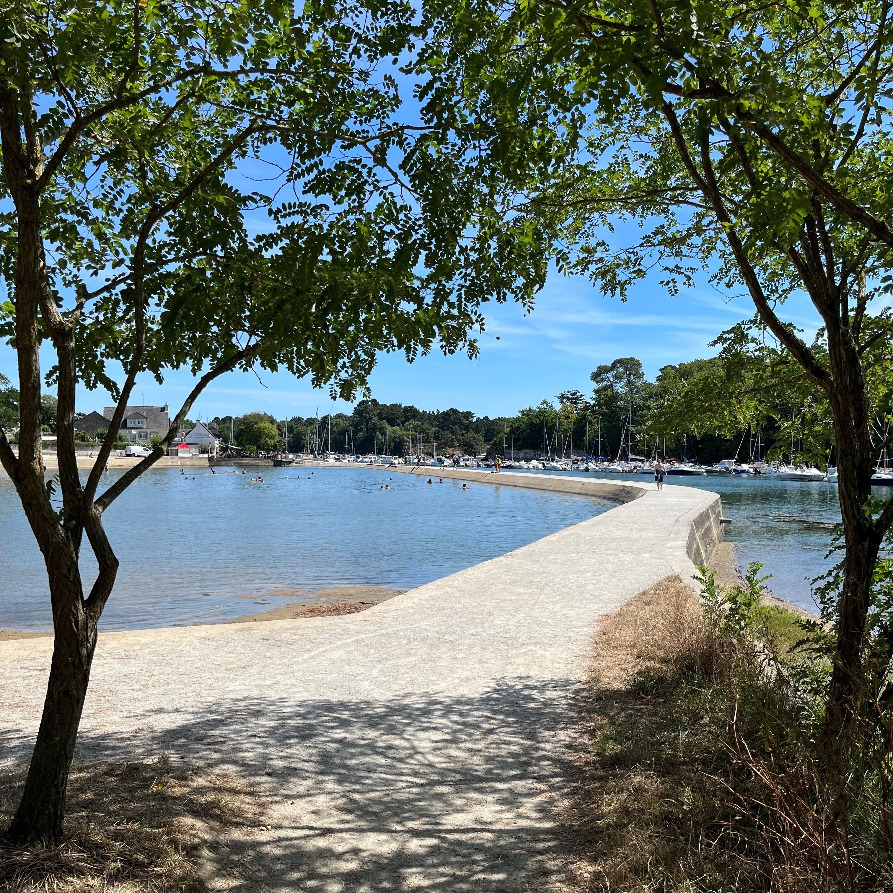 A waterfront park with a paved walkway, trees, and a marina in the background.