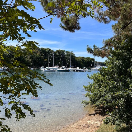 LA P'TITE VANNETAISE - Petite maison au bord de l'eau à Conleau avec vélos !