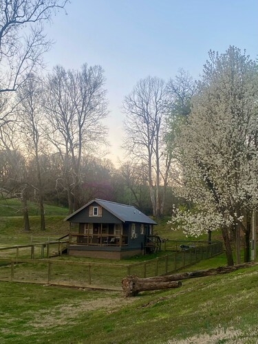 Quaint cabin in foothills of the Ozarks - quick access to Fayetteville and NWA! 