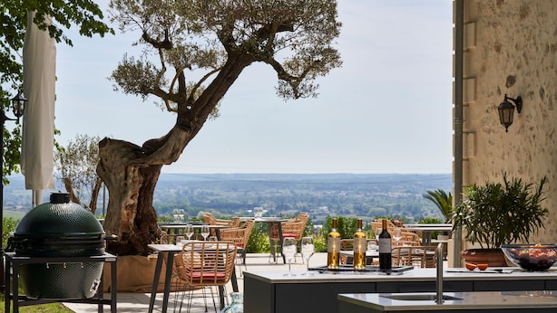 Un espacio para comer al aire libre con vistas al paisaje, un árbol grande y una parrilla.