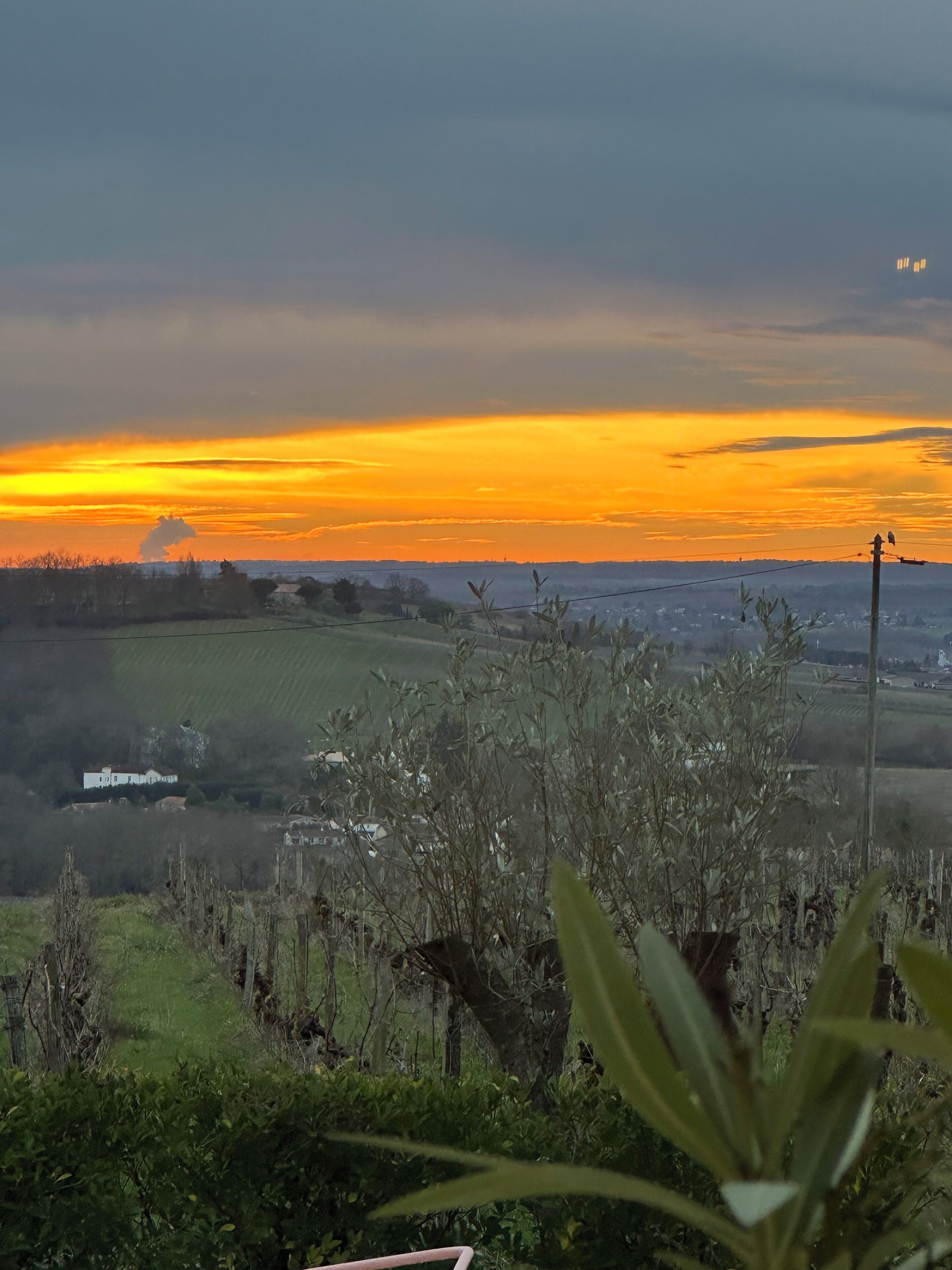 A rural landscape with a sunset, fields, and a distant building.
