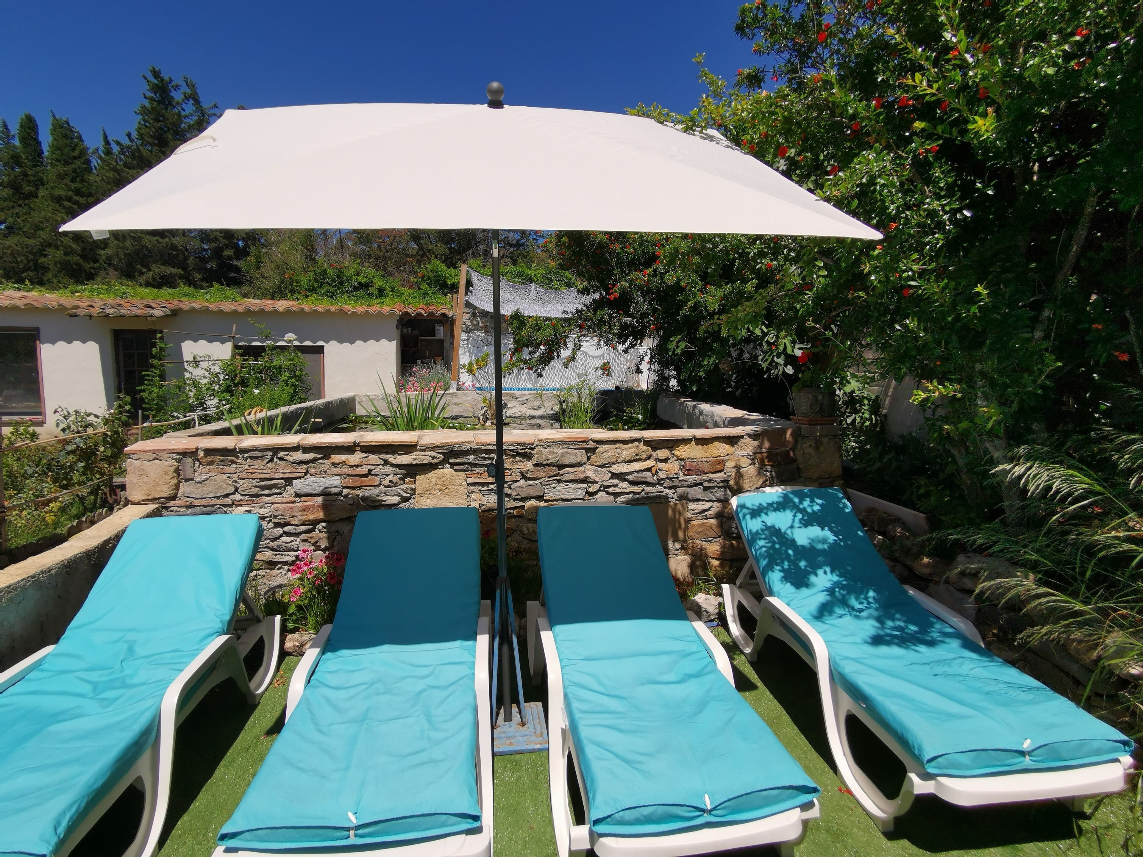 Parco della struttura