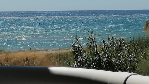 Une vue sur la côte, avec l’océan et la végétation.