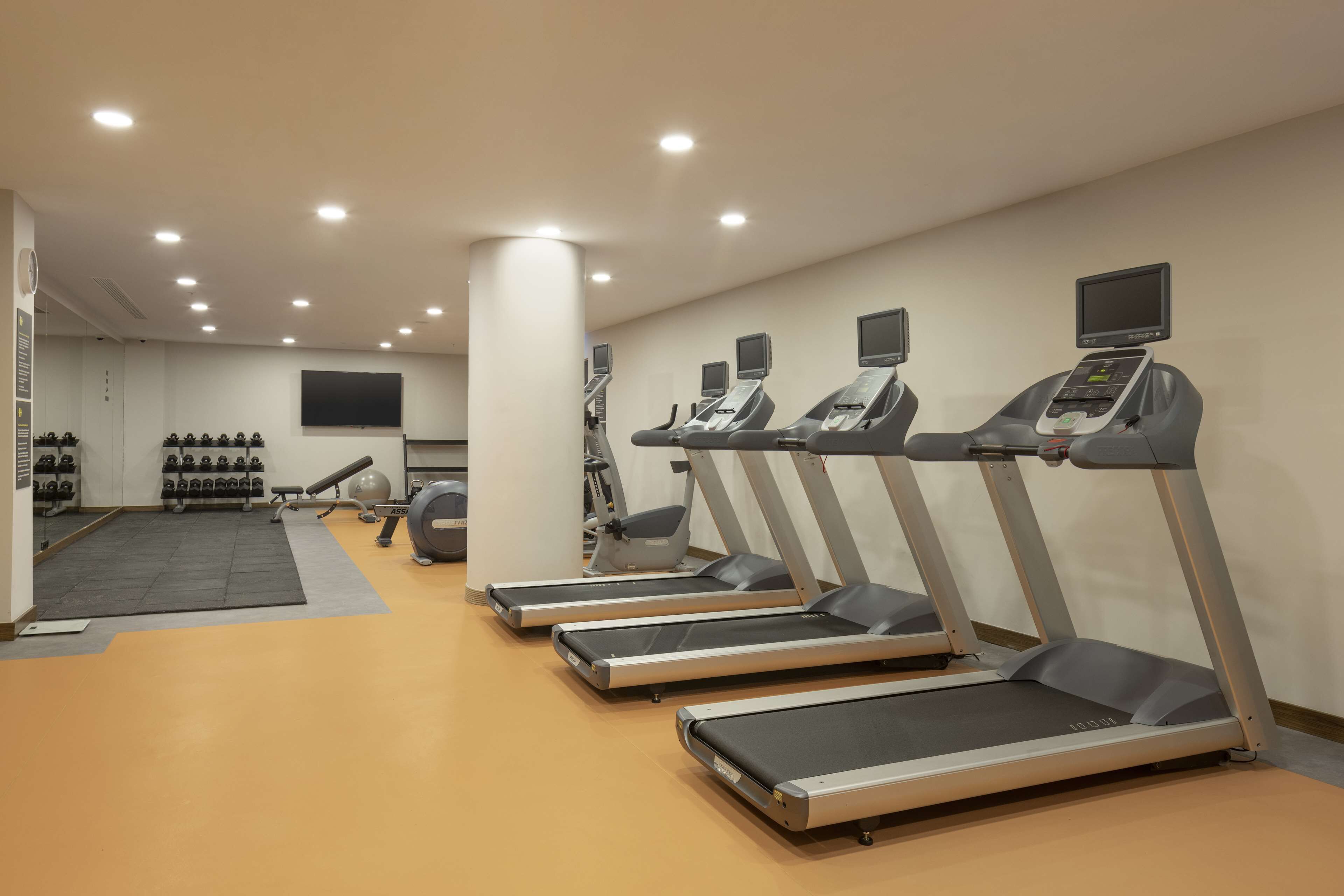 A gym with treadmills, weights, and exercise balls.