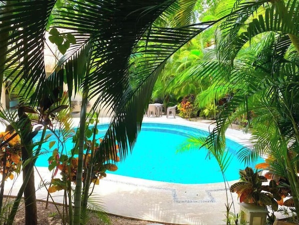Piscine extérieure