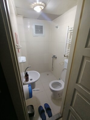Departamento | Baño | Regadera, amenidades de baño gratuitas, secadora de cabello, toallas