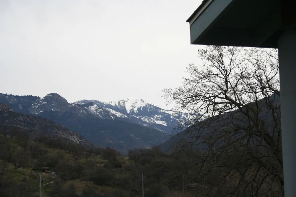 Sequoia Mountain View Cabin