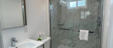 A modern bathroom with a glass-enclosed shower, a white toilet, a vanity with a mirror, and a light fixture on the ceiling.